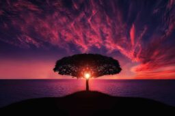 Creativity Uncovered: Strategies for Your Inner Genius