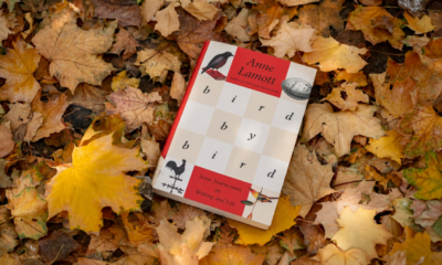 Bird by Bird by Anne Lamott: What This Book Really Teaches About Writing