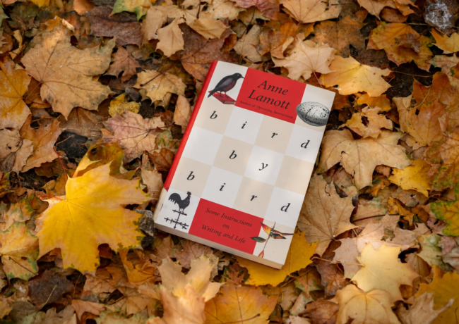 Bird by Bird by Anne Lamott: What This Book Really Teaches About Writing