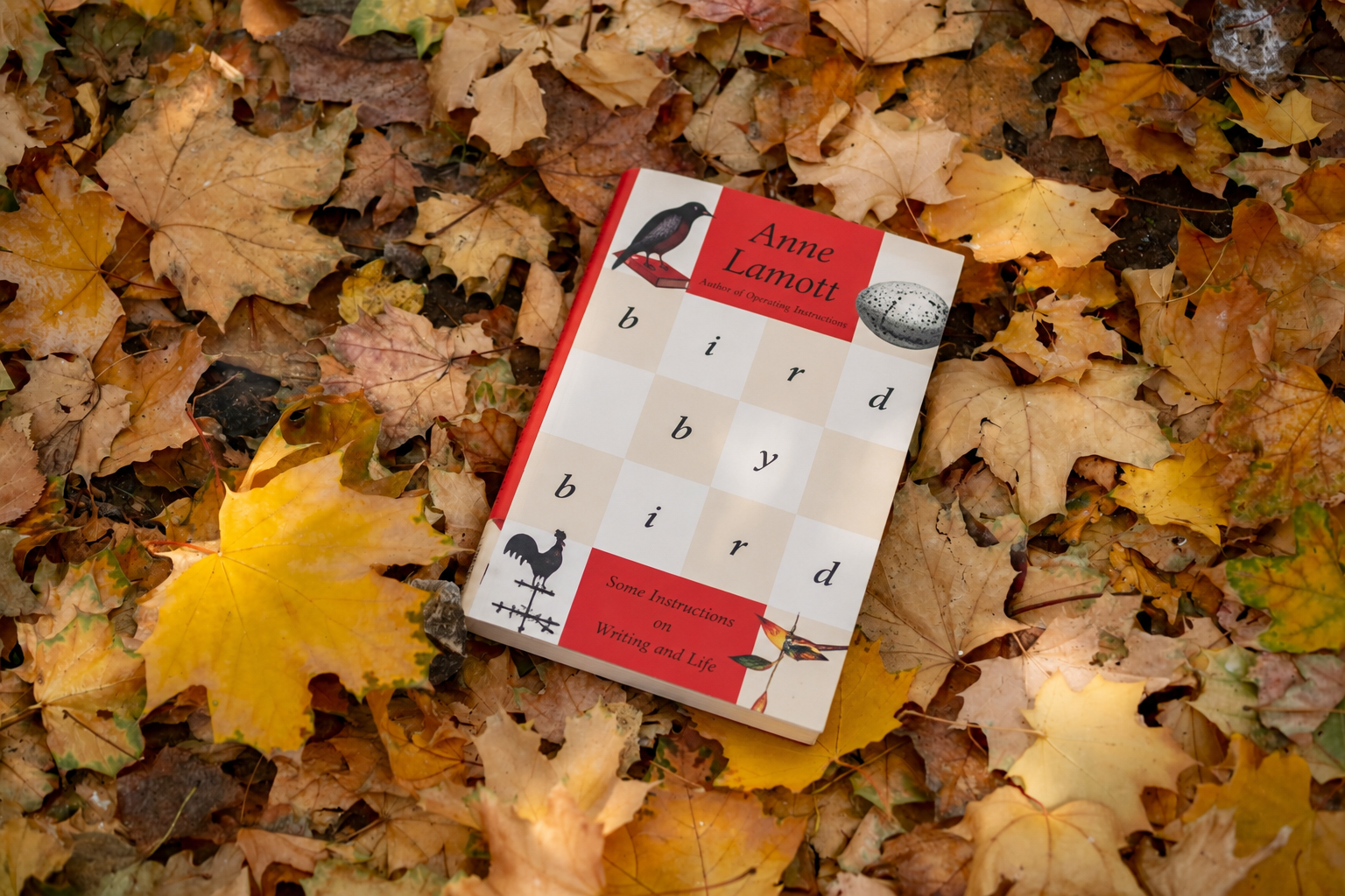 Bird by Bird by Anne Lamott: What This Book Really Teaches About Writing